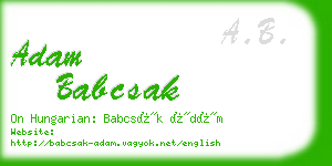 adam babcsak business card